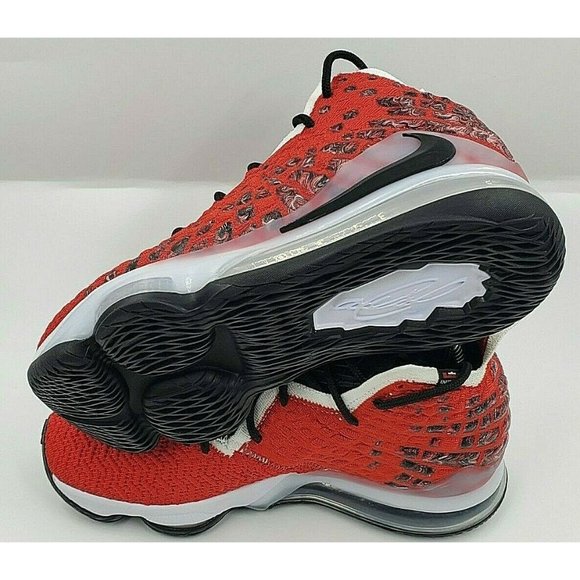 Nike Lebron 17 \